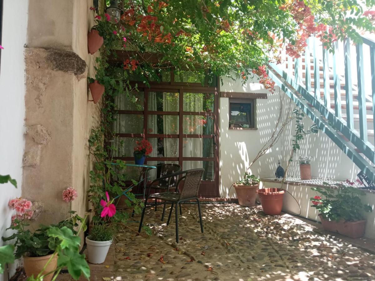 דירות קורדובה Patio Del Limonero מראה חיצוני תמונה