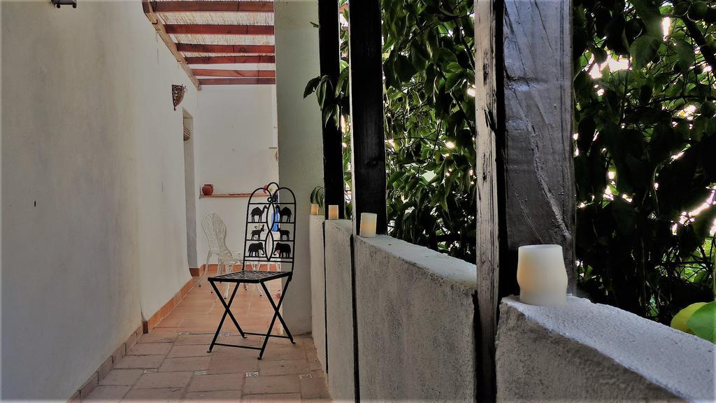 דירות קורדובה Patio Del Limonero מראה חיצוני תמונה